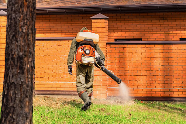 Top rated local Ant Control specialists in Haskins, OH